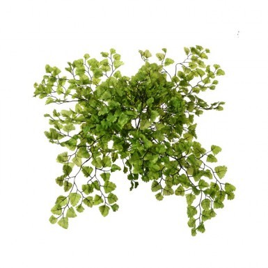 Maidenhair Fern Bush  - Greenery & Floral - artificial maidenhair fern 